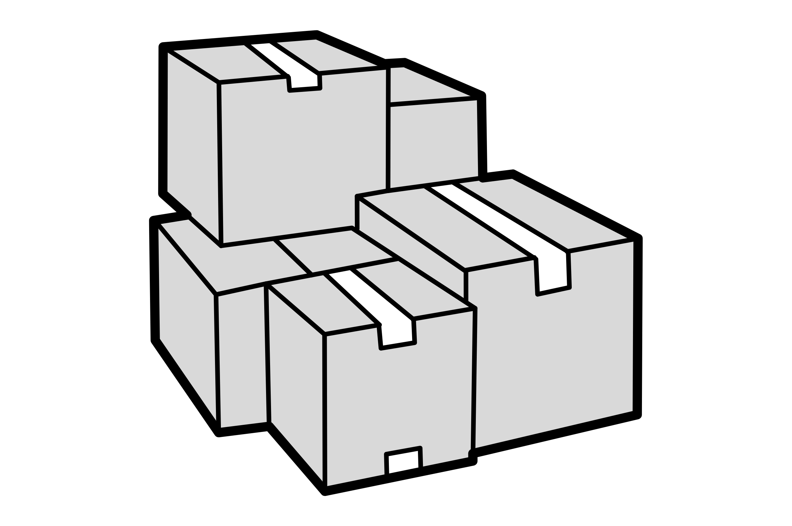 Packaging Design
